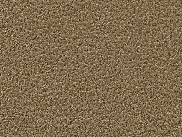 Top view of a rectangular carpet pattern in caramel